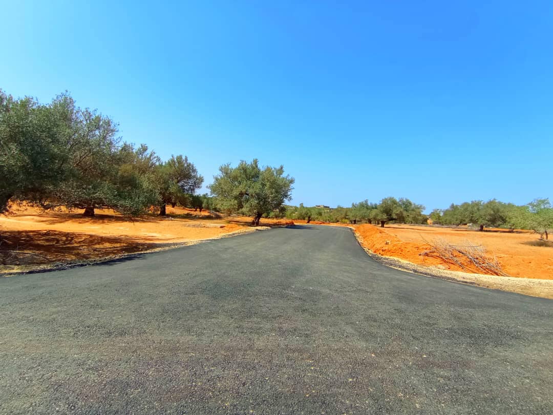 484032721_953152117024731_4111680256260166682_n