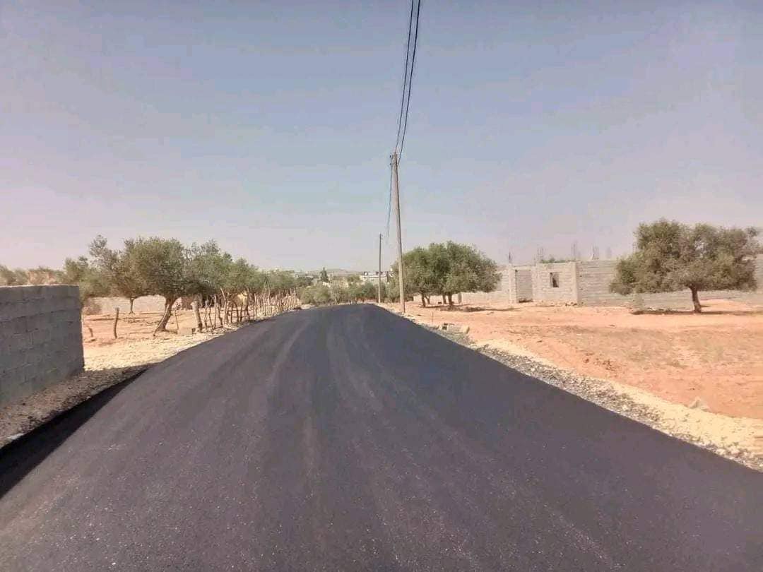 484048910_953152453691364_507380848901405394_n