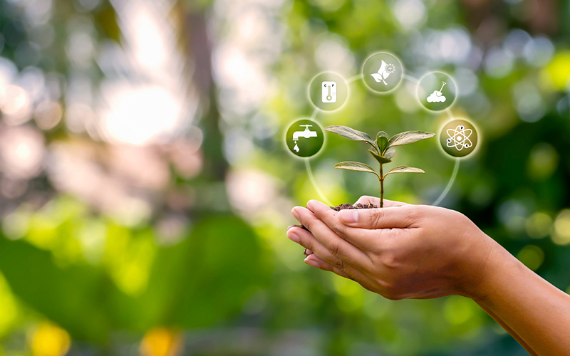 Services_0002_الاستدامة-البيئية