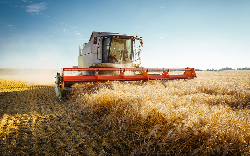 Services_0007_القطاع الزراعي